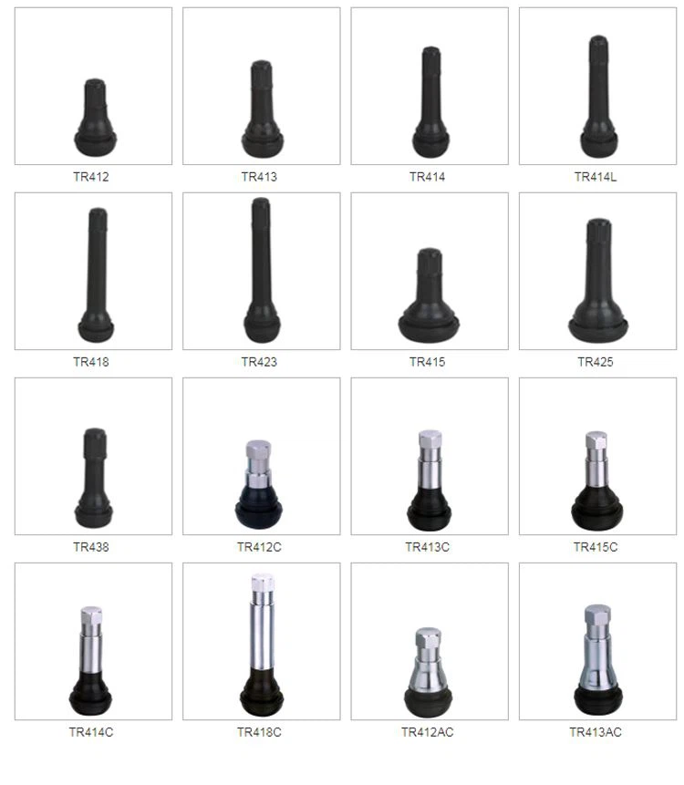 Tubeless  tyre valve