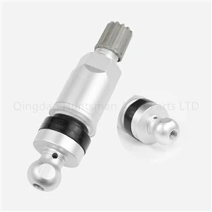 BMW ٹائر والو