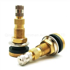 TR618A والو اسٹیم