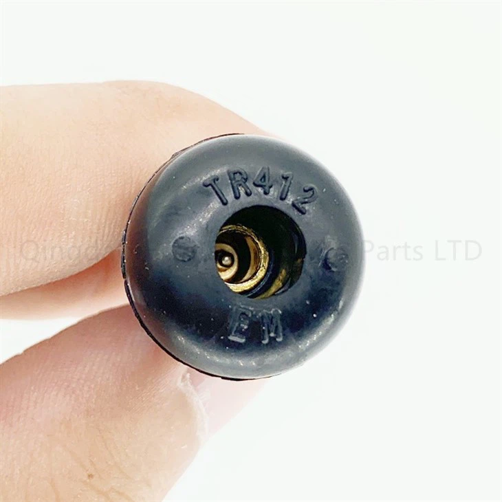 Tubeless tire vlave